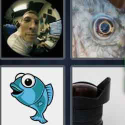 4 Pics 1 Word 7 Letters Fisheye
