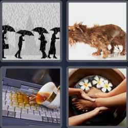 4 Pics 1 Word 7 Letters Soaking