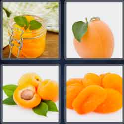 4 Pics 1 Word 7 Letters Apricot