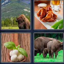 4 Pics 1 Word 7 Letters Buffalo