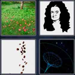 4 Pics 1 Word 7 Letters Gravity