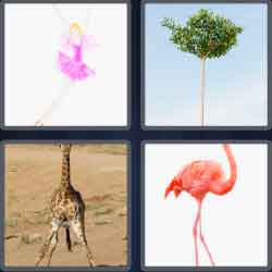 4 Pics 1 Word 7 Letters Level 3651 Spindly