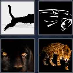 4 Pics 1 Word 7 Letters Level 3716 Panther