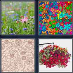4 Pics 1 Word 7 Letters Level 3732 Flowery