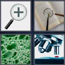 4 Pics 1 Word 7 Letters Level 3745 Magnify