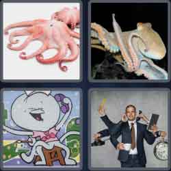 4 Pics 1 Word 7 Letters Octopus