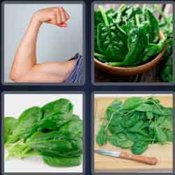 4 Pics 1 Word 7 Letters Spinach