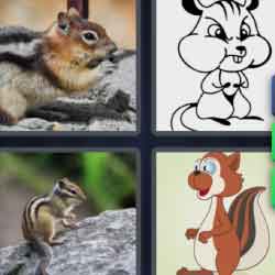 4 Pics 1 Word 8 Letters Chipmunk