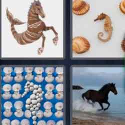 4 Pics 1 Word 8 Letters Seahorse