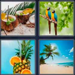 4 Pics 1 Word 8 Letters Tropical