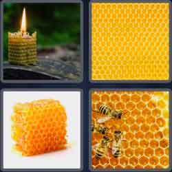 4-pics-1-word-9-letters-honeycomb